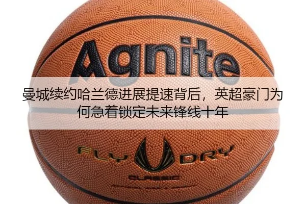 img_1780256020314_6_1_105.jpg